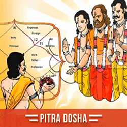 pitra dosh puja