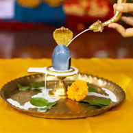 Rudra Abhishek Puja by Expert Pandit