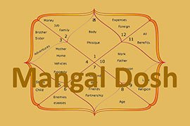 Mangal Dosha Puja Airoli