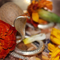 Narayan Nagbali Puja